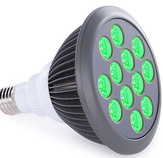 Best Lighting for Migraine Sufferers: Green Light Therapy Bulb